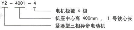 YR系列(H355-1000)高压YKS4509-8/450KW三相异步电机西安西玛电机型号说明